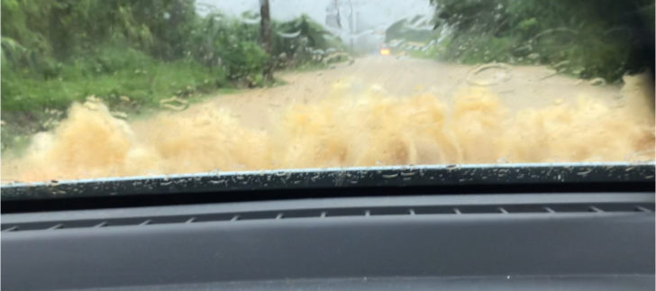 冠水の中を走るデミオ