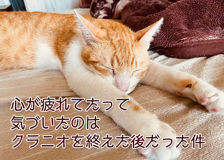 心が疲れてたと気づいたのはクラニオを終えた後だった件